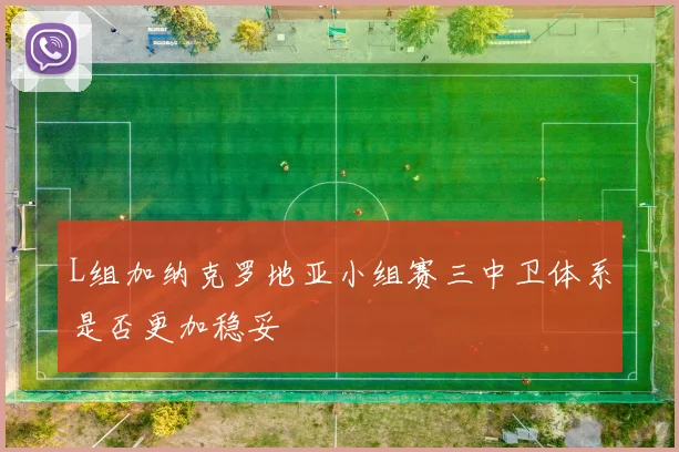 L组加纳克罗地亚小组赛三中卫体系是否更加稳妥