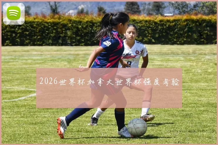 2026世界杯加拿大世界杯强度考验