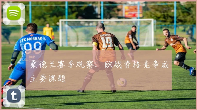 桑德兰赛季观察：欧战资格竞争成主要课题